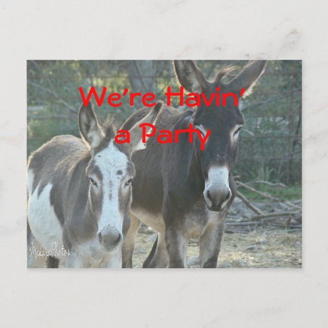 Mule Postcard-any-occacustomize Postkarte (Vorderseite)