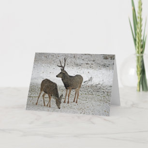 Mule Reer buck and dock Karte