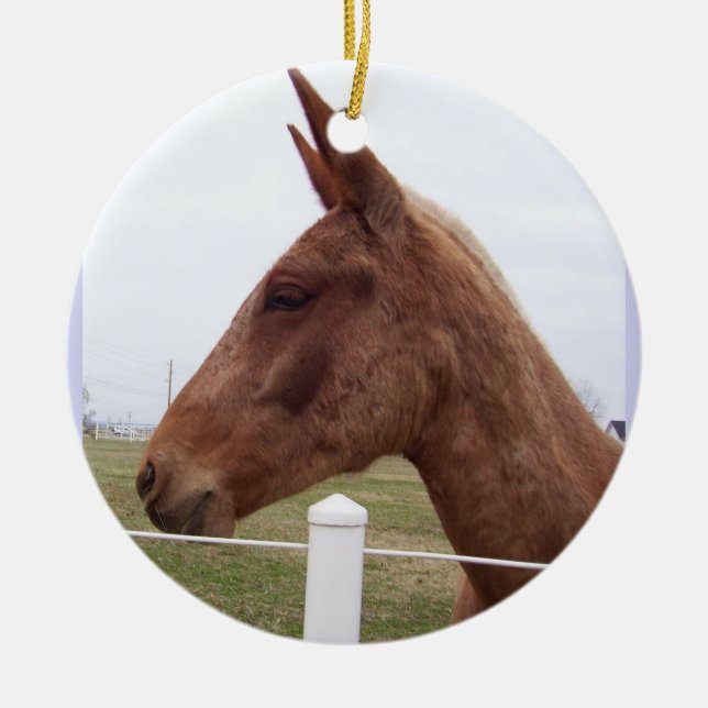 Mule Time Ornament (Vorne)