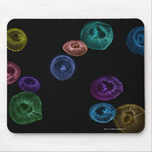 Multi farbige Quallen auf schwarzem Hintergrund Mousepad