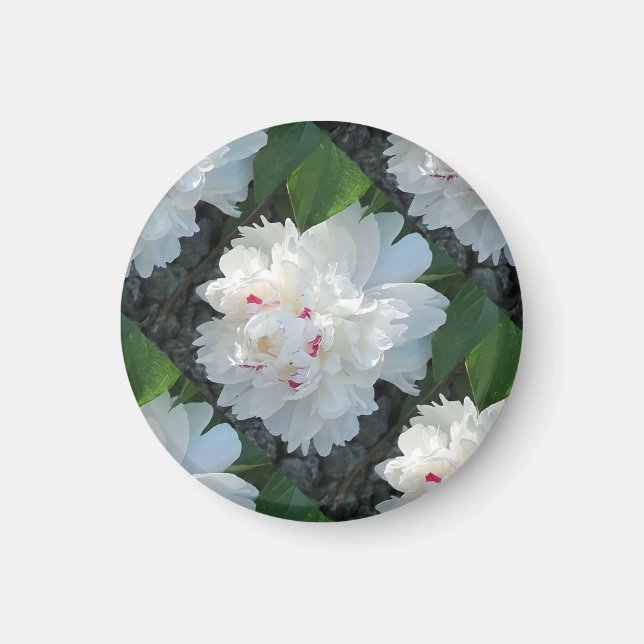 Multi Precious Peony Magnet (Vorne)