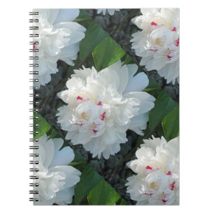 Multi-Wertvoll Peak-Notebook Notizblock