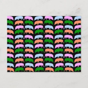 Multicolor Hogs Postcard Postkarte