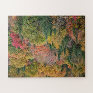 Multicolor Tree Puzzle