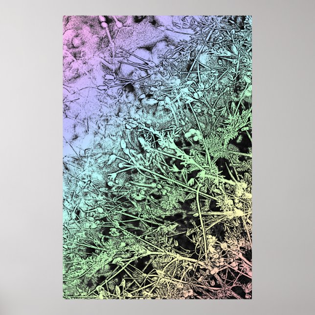 Multicolor Weeds Poster (Vorne)