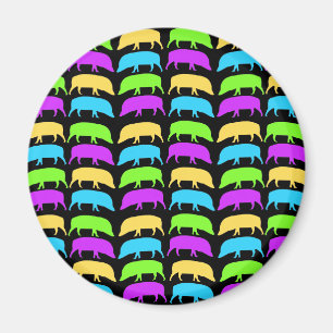 Multicolored Hogs Magnet
