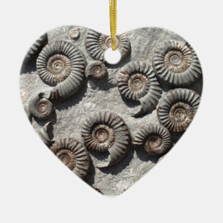 Multifossile Summen aus dem Unteren Meer Keramik Ornament