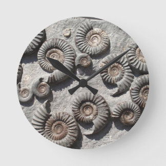 Multifossile Summen aus dem Unteren Meer Runde Wanduhr