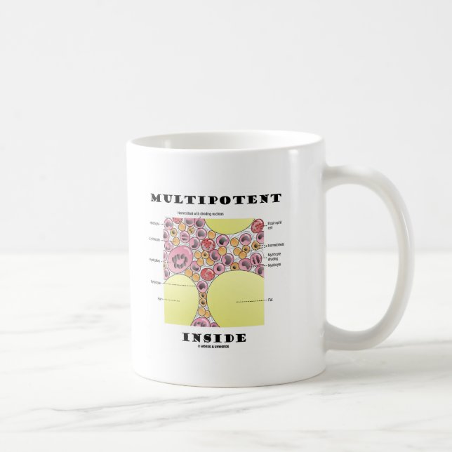 Multipotentes Inside (Spaß zur Bildung von Blutkör Kaffeetasse (Rechts)