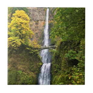 Multnomah Falls, Columbia River Gorge, Oregon Fliese