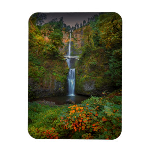 Multnomah Falls   Columbia River Gorge, Oregon Magnet