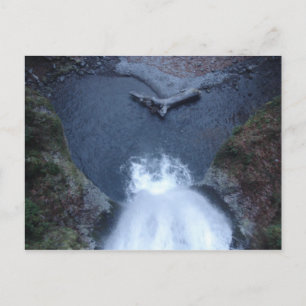 Multnomah Falls nach unten Postkarte