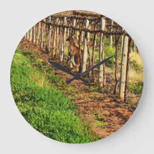 Mum And Joey Kangaroo Hiding In Grapevines, Große Wanduhr