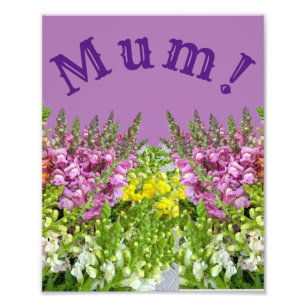MUM! FOTODRUCK