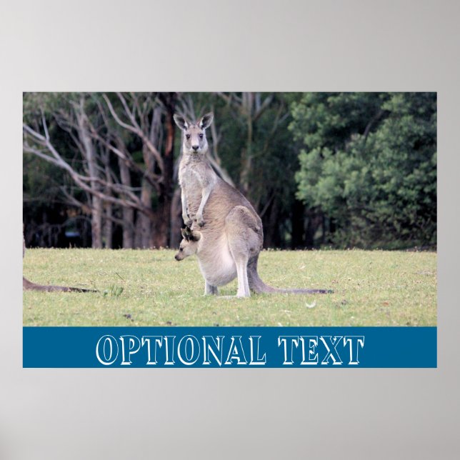 Mum Kangaroo mit Baby Joey in ihrem Beutel Poster (Vorne)