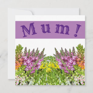 MUM! Karte
