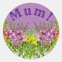MUM! Karte