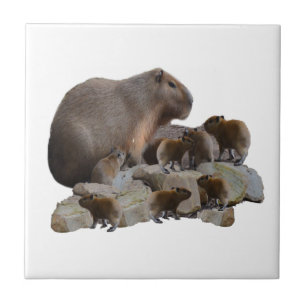 Mumien und Babys Capybaras, Fliese