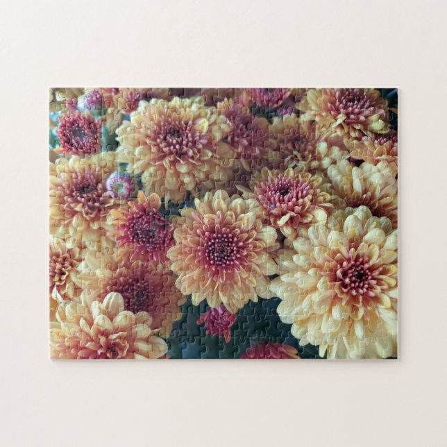 Mums Autumnal (Horizontal)