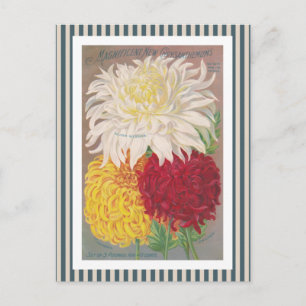 Mums Vintage Art Postkarte