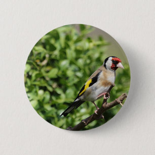 Münch Button