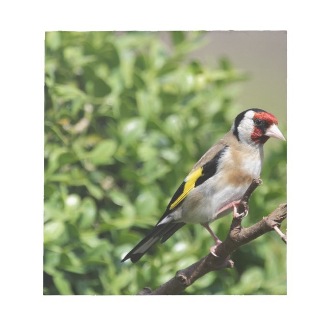 Münch Notizblock (Vorderseite)