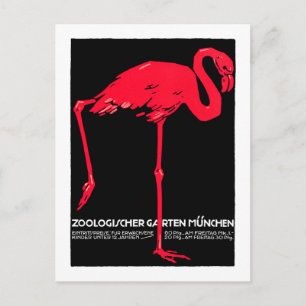 München Zoo Garden Flamingo Postkarte