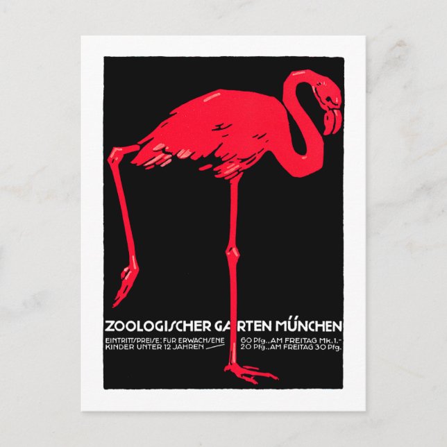 München Zoo Garden Flamingo Postkarte (Vorderseite)