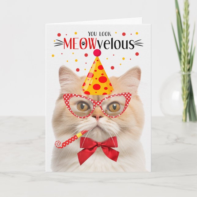 Munchkin Cat MEOWvelous Birthday Karte (Vorderseite)