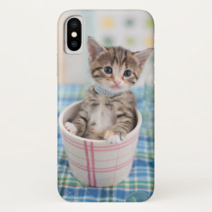 Munchkin Kätzchen mit hübschem Band Case-Mate iPhone Hülle
