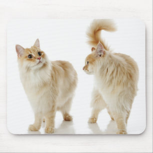 Munchkin Katzen Mousepad