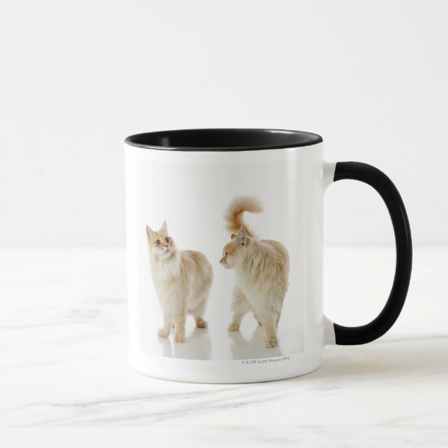 Munchkin Katzen Tasse (Rechts)