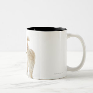 Munchkin Katzen Zweifarbige Tasse