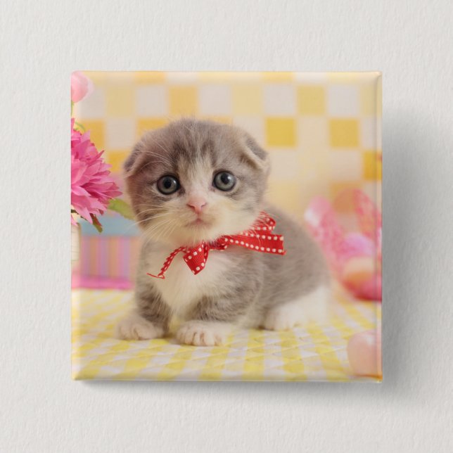 Munchkin Kitten Button (Vorderseite)