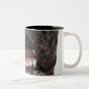 Mund der Deutscher Dogge, Nahaufnahme Zweifarbige Tasse