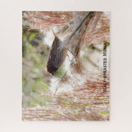 Munia mit Scaly-Brüste; Bird Lover's