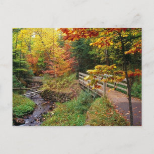 Munising Falls Trail, Alger Landkreis, Michigan Postkarte