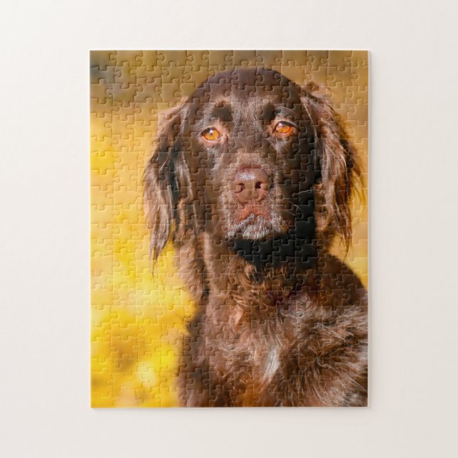Munsterlander Dog. Jigsaw Puzzle (Vertikal)