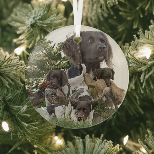 Munsterlander Ornament Aus Glas (InSitu)