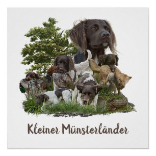 Munsterlander , vielseitiges Jagd-Zeigemittel Poster