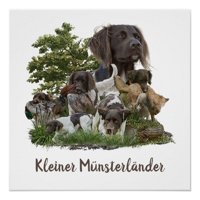 Munsterlander , vielseitiges Jagd-Zeigemittel Poster (Vorderseite)