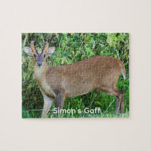 Muntjak-Hirsch-Wildfoto-Personalisiertes-Puzzle