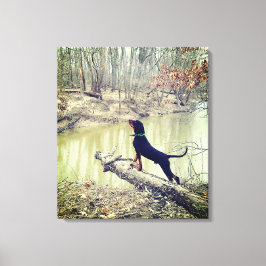 Münzhund an der Leinwand