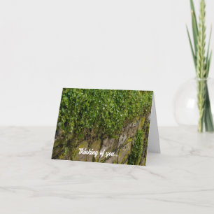 Mur De Ivy Penser De Vous Carte