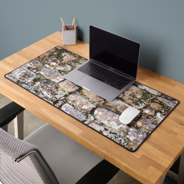 Mur de ruines mayas (Bureau 2)