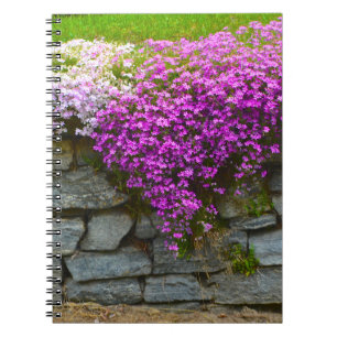 Mur en pierre et Carnet de type Phlox