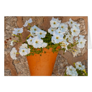Mur espagnol