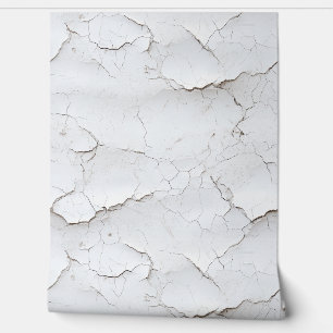 Mur peint blanc fissuré