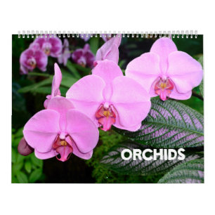 Mural 12 mois Calendrier des orchidées