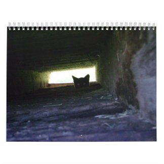 Mural 2009 aimant le calendrier sauvage de chat de Feral